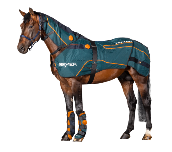 BEMER Horse Set mit