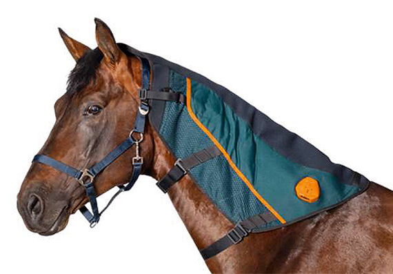 BEMER Horse Hals Applikator Pferd Berlin