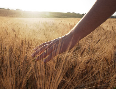Ganzheitliches-coaching-fuer-hochsensible